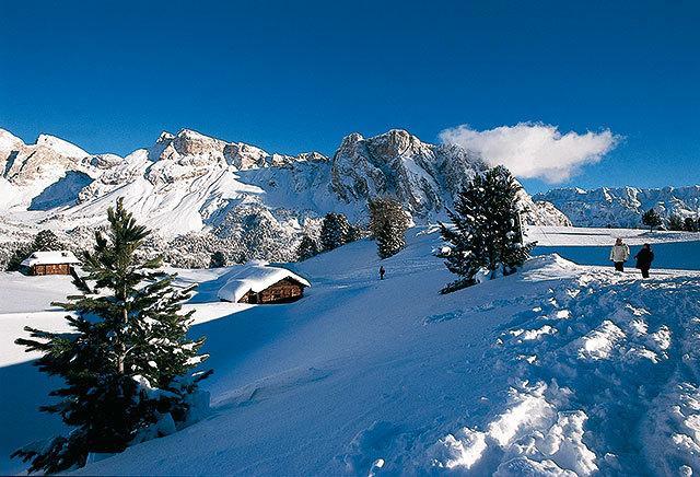 Des Alpes Hotel 3*